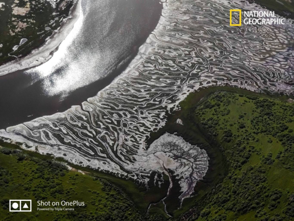  National Geographic поделились фото снятыми на OnePlus 7 Pro Другие устройства  - 1652081