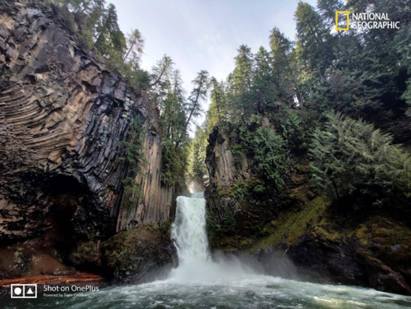  National Geographic поделились фото снятыми на OnePlus 7 Pro Другие устройства  - 1652082