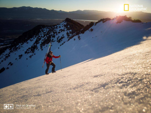  National Geographic поделились фото снятыми на OnePlus 7 Pro Другие устройства  - 1652084