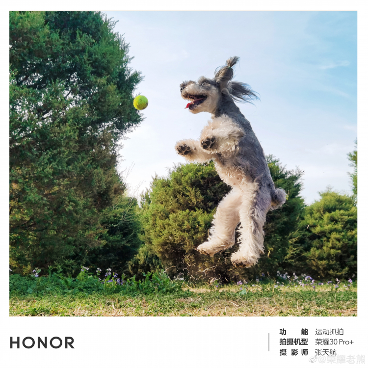  Honor представила возможности камеры Honor 30 Pro+ Huawei  - sm.honor30prodog.750