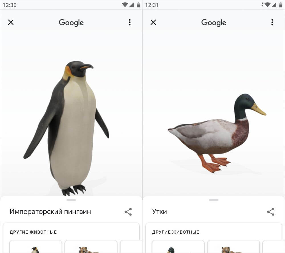  Как смотреть в 3d на смартфоне Приложения  - 3d-animals-in-google-1